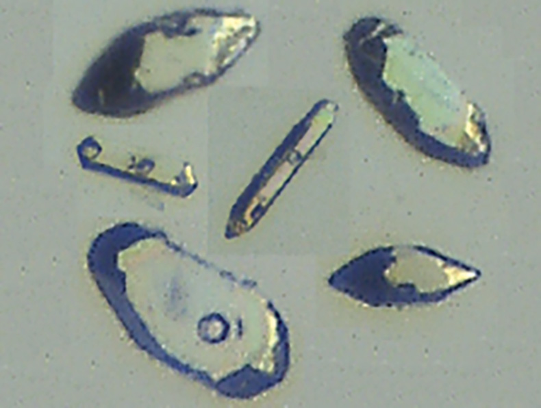 Microscopic view of several zircons from lab with laser ablation spots